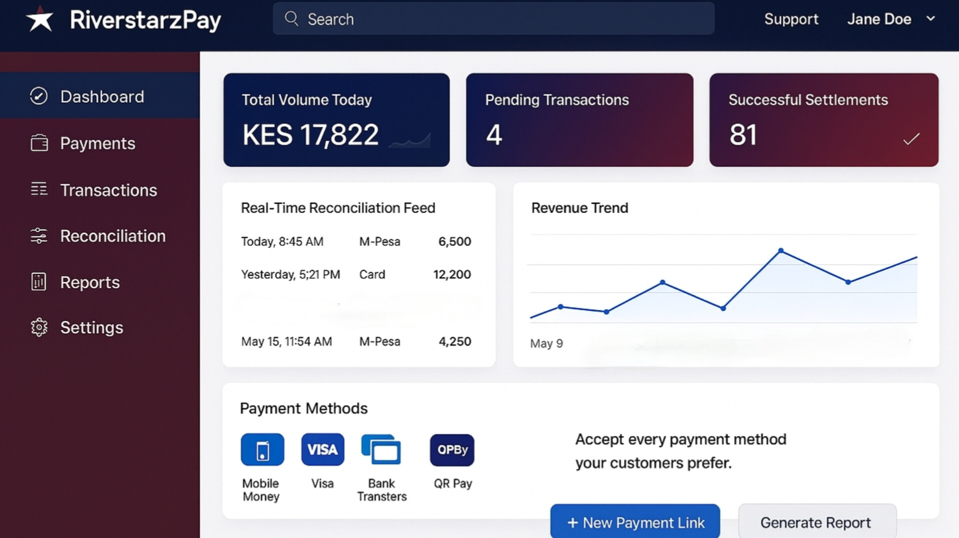 RiverstarzPay Platform Visual